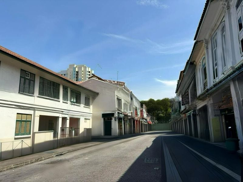 PETAIN RD/TYRWHITT RD CONSERVATION AREA 4