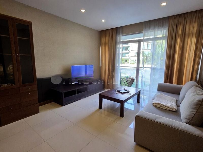 THE RAINTREE 12