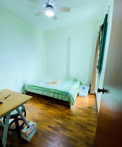 HIGHGATE 11