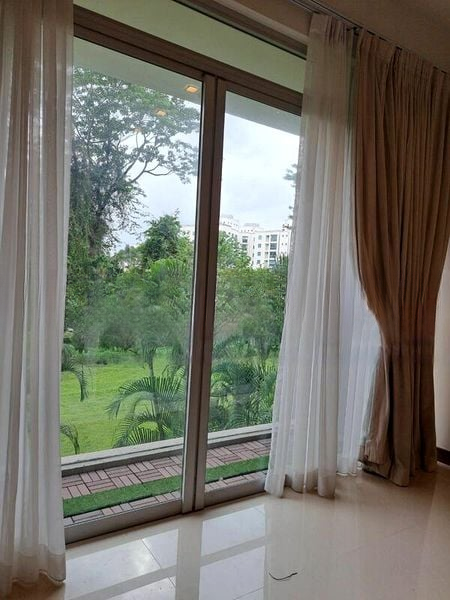 THE RAINTREE 7