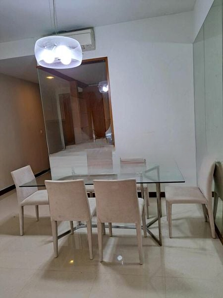 THE RAINTREE 12