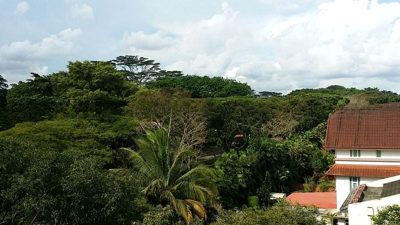 FLORAVILLE 3