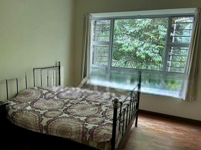 THE RAINTREE 2