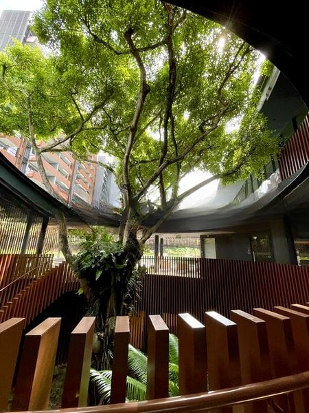 KI RESIDENCES AT BROOKVALE 12