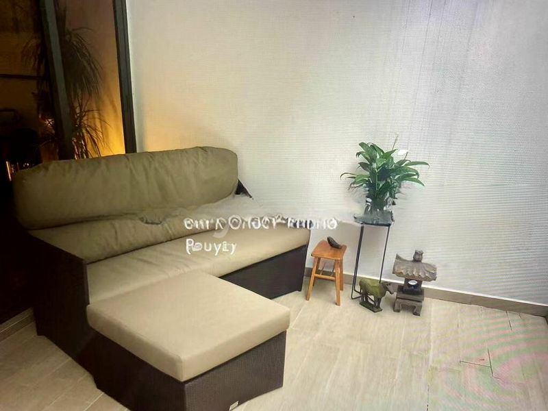 COCO PALMS 3