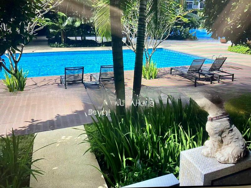 COCO PALMS 5