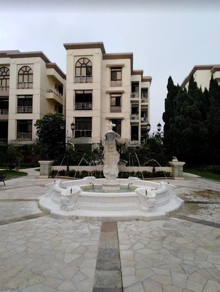 SELETARIS 9