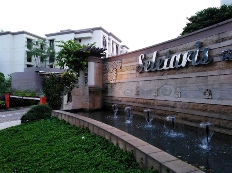 SELETARIS 15