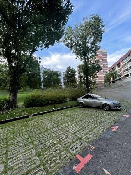 FABER GARDEN CONDOMINIUM 10