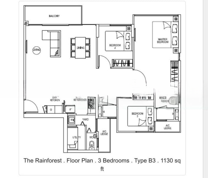 THE RAINFOREST 7
