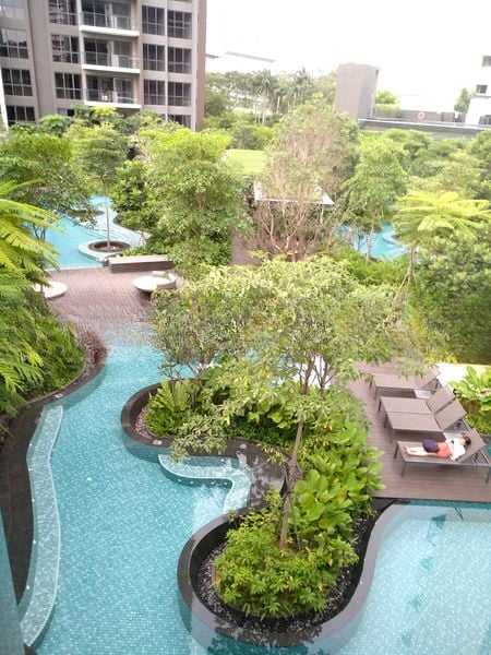 THE CLEMENT CANOPY 9