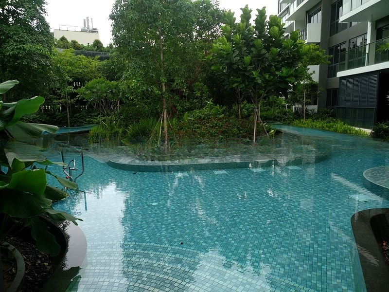 THE CLEMENT CANOPY 8