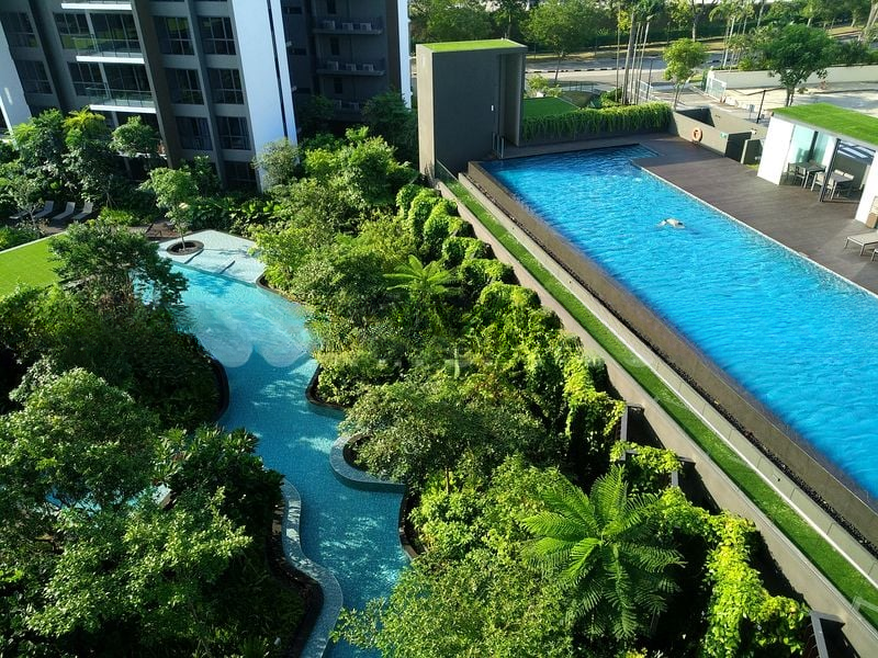 THE CLEMENT CANOPY 2