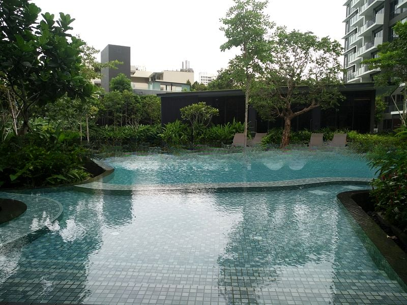 THE CLEMENT CANOPY 7