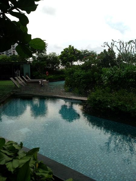 THE CLEMENT CANOPY 15