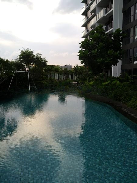 THE CLEMENT CANOPY 13