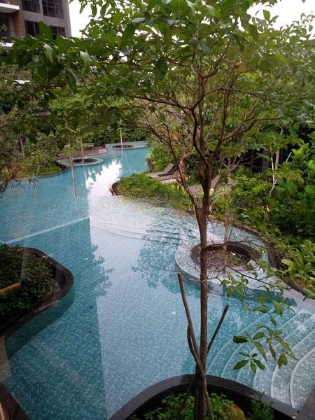 THE CLEMENT CANOPY 11