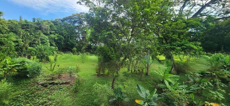 SELETAR GARDEN 8