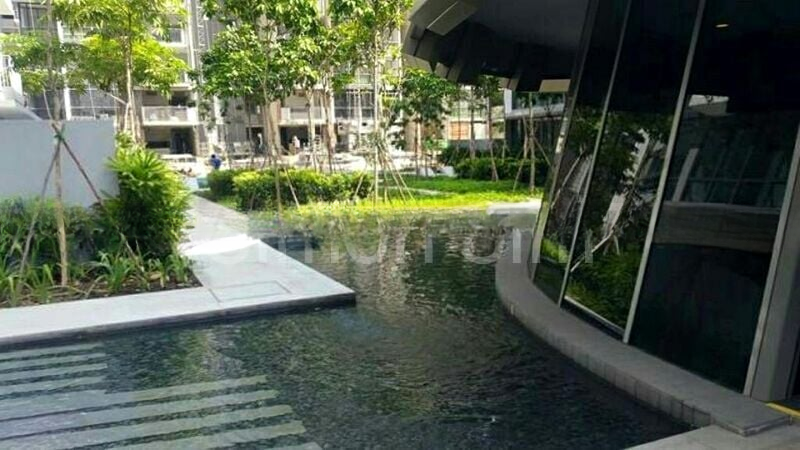 THE LUXURIE 7