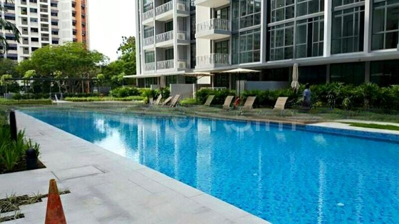 THE LUXURIE 10