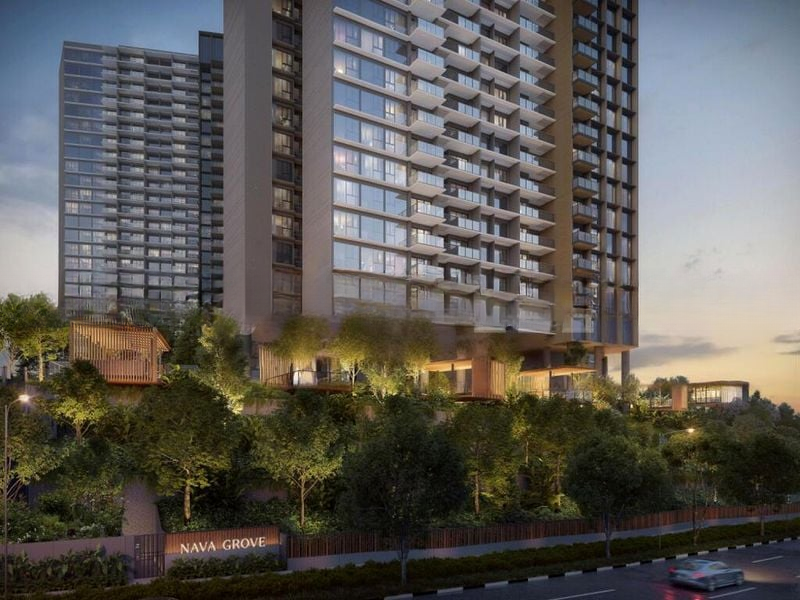 NAVA GROVE 12