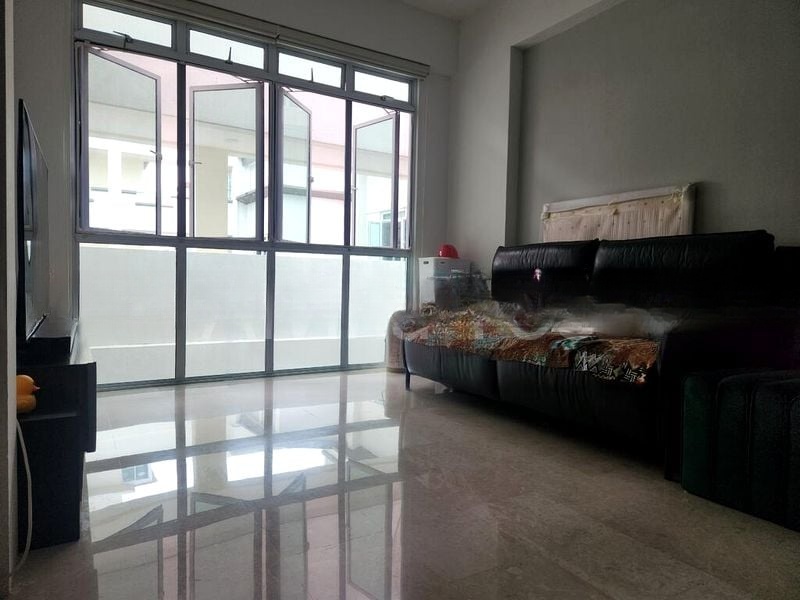 SUNNY PALMS 12