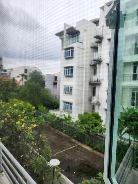 SUNNY PALMS 7
