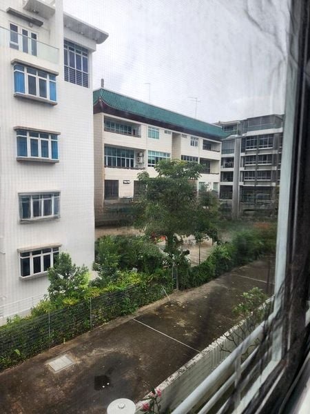 SUNNY PALMS 6