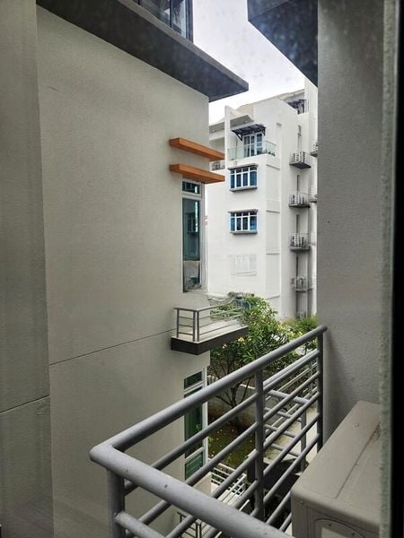 SUNNY PALMS 5