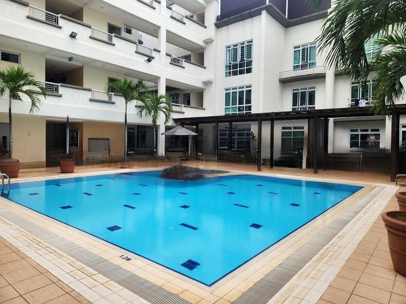 SUNNY PALMS 2