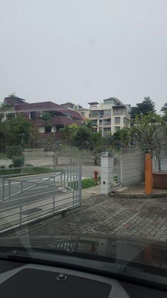 SUNNY PALMS 4