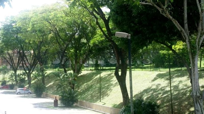 GRANDE VISTA 15
