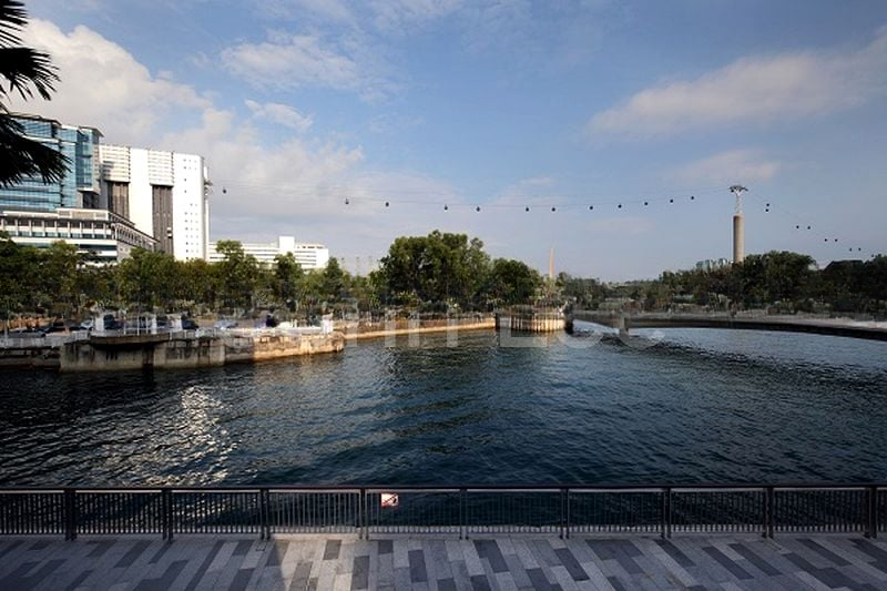 CORALS AT KEPPEL BAY 3