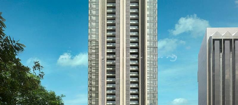 REIGNWOOD HAMILTON SCOTTS 2