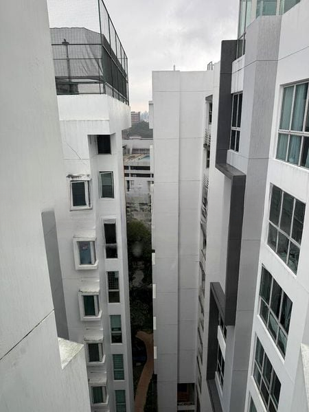 GARDENVISTA 1