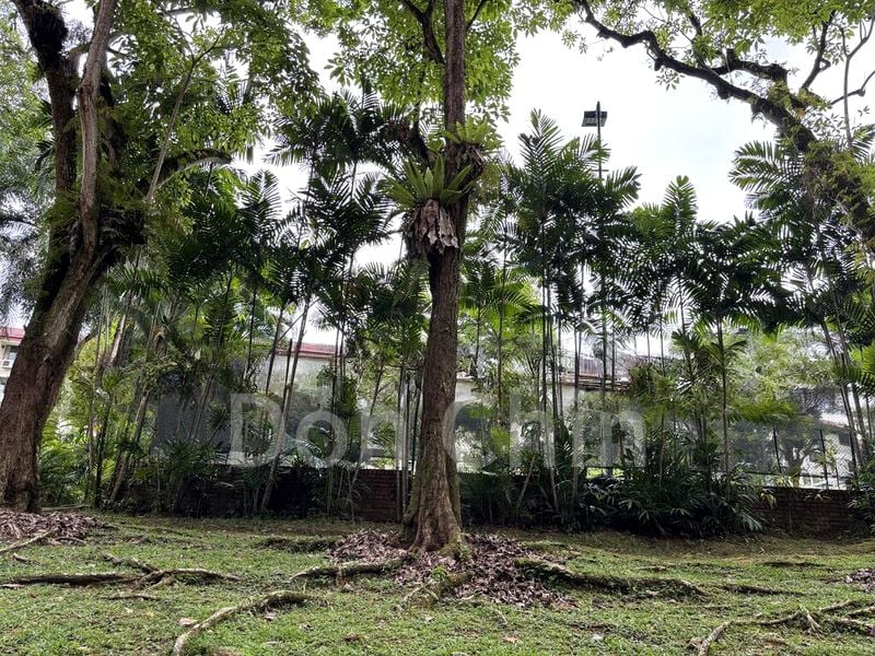 HILLCREST ARCADIA 13