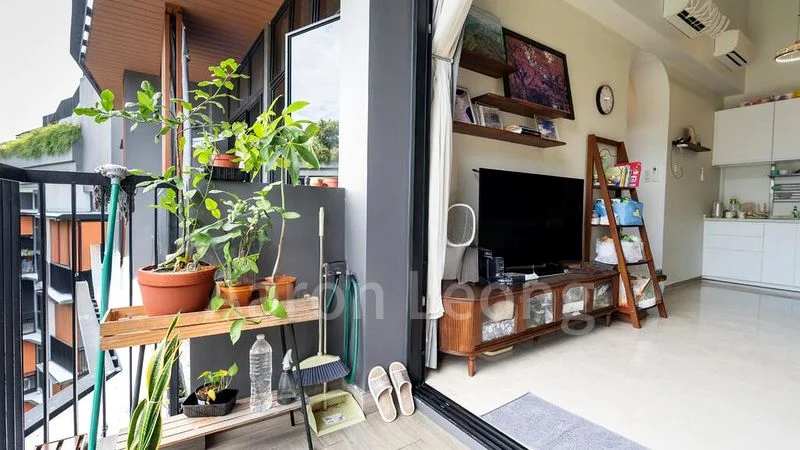 DAINTREE RESIDENCE 3