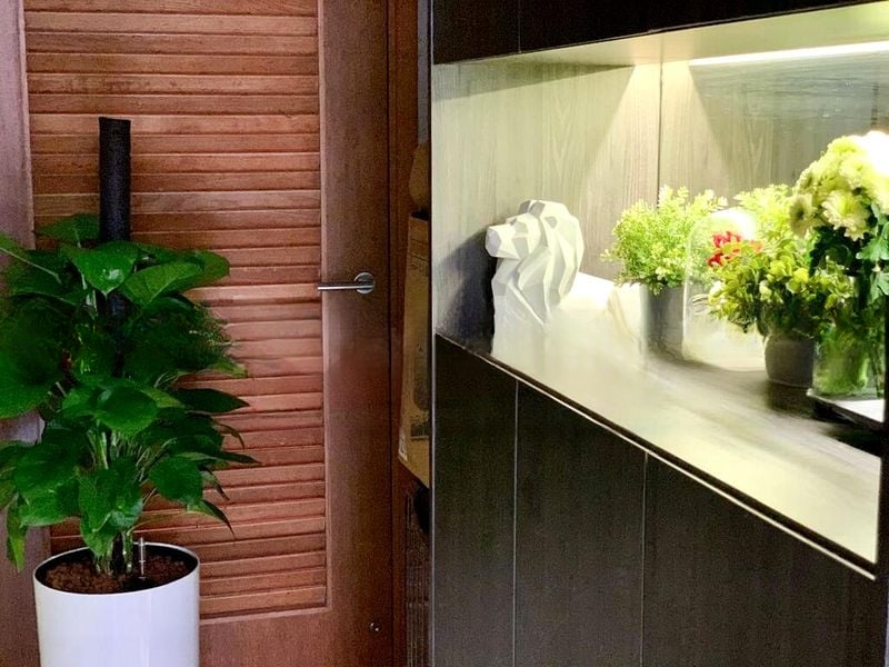 ADAM PARK CONDOMINIUM 4