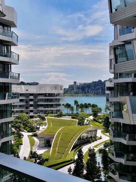 CORALS AT KEPPEL BAY 7