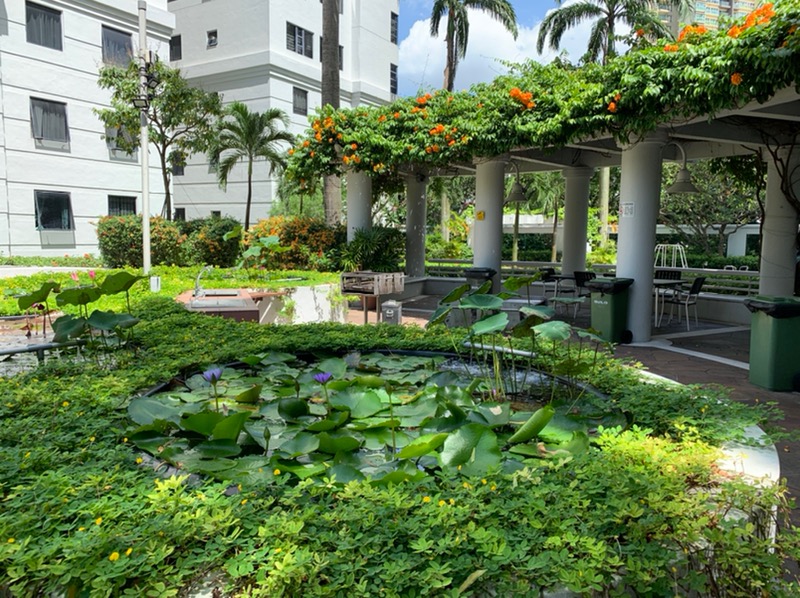 CENTRAL GREEN CONDOMINIUM 19