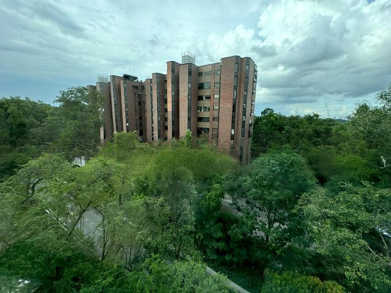 BOTANIC GARDENS VIEW 5