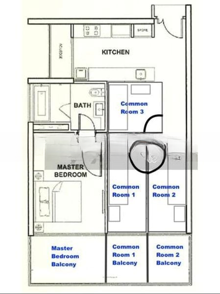 THE ROCHESTER RESIDENCES 11