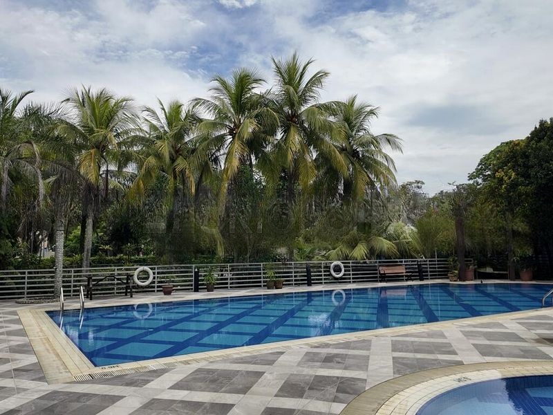 SANDY PALM 1