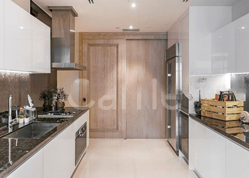 THE RITZ-CARLTON RESIDENCES SINGAPORE CAIRNHILL 5