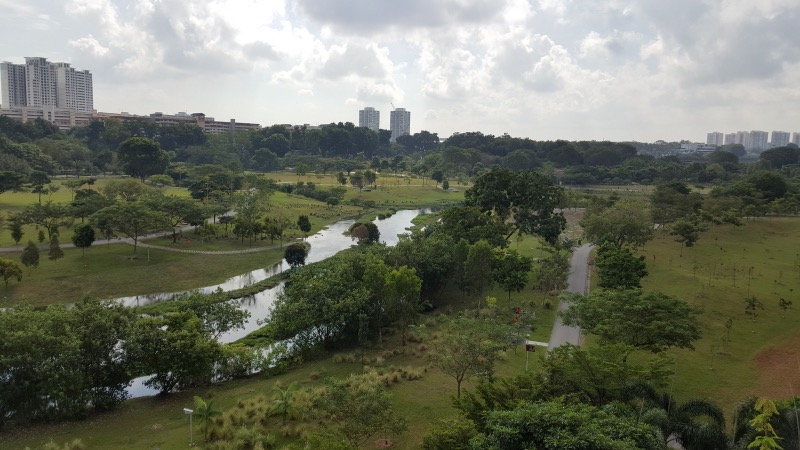 CLOVER BY THE PARK 12