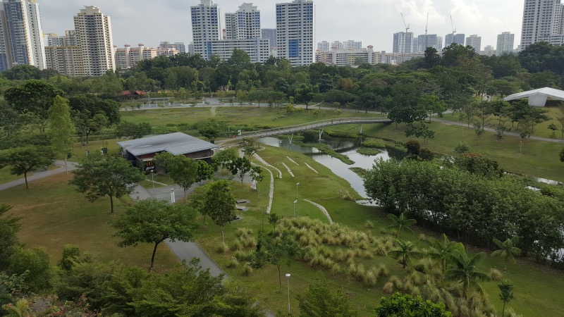 CLOVER BY THE PARK 13