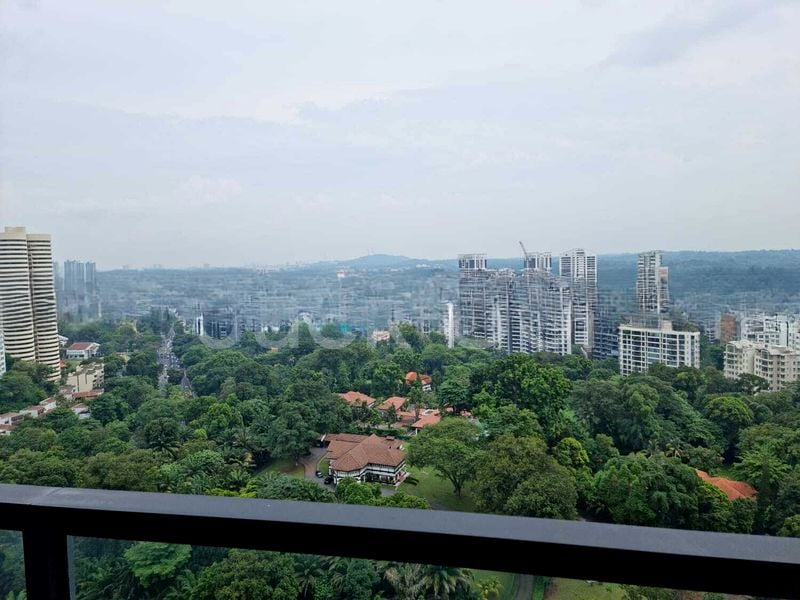 REIGNWOOD HAMILTON SCOTTS 7