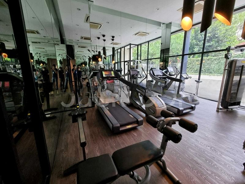 REIGNWOOD HAMILTON SCOTTS 14