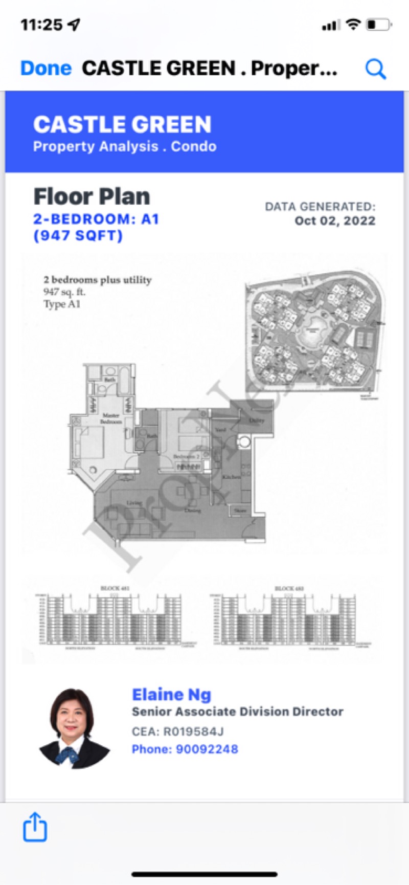 CASTLE GREEN 11
