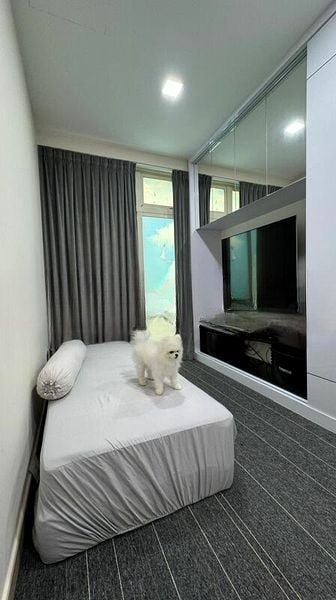VILLA BEGONIA 2